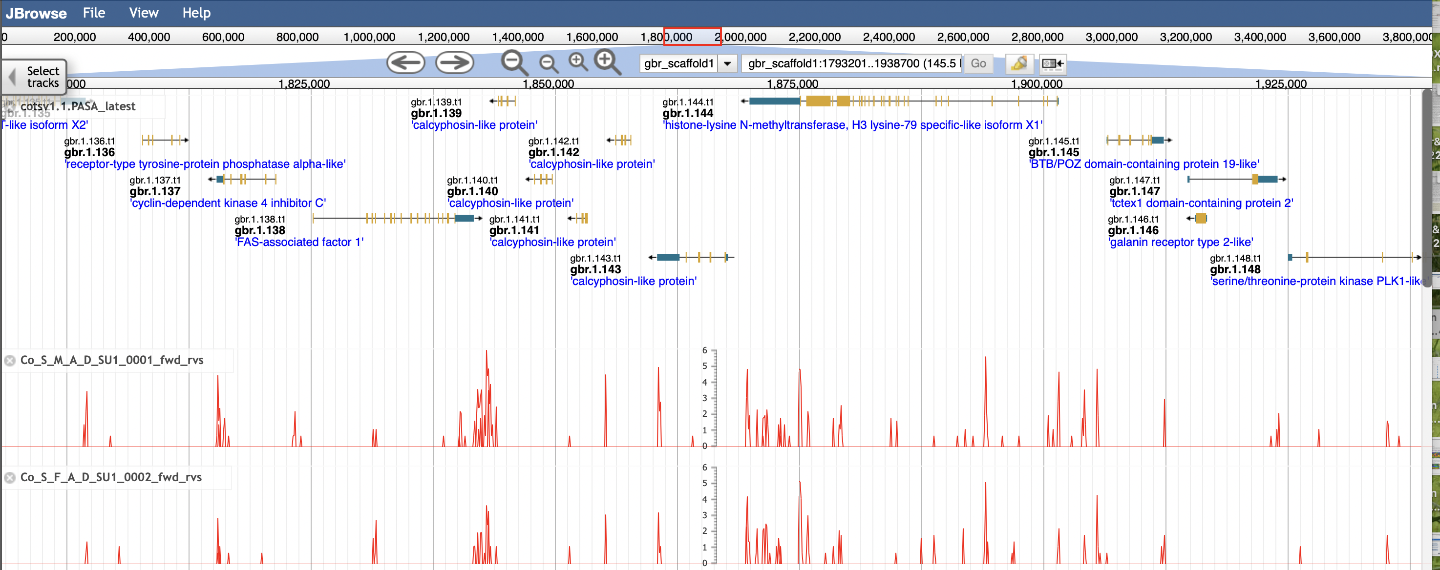 COTS genome browser with two tracks
